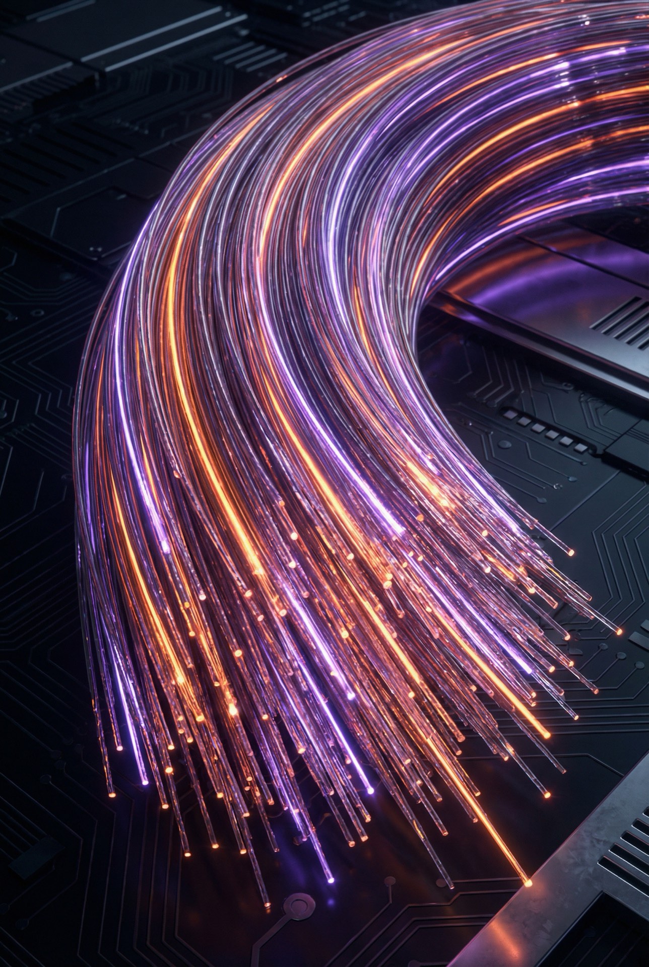 Fiber Optic Network